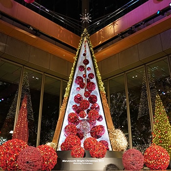 ニコライ・バーグマンによる花で彩るクリスマス「Marunouchi Bright Christmas 2017」開催