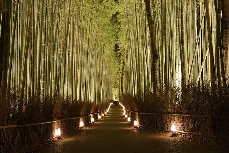 「京都・嵐山花灯路-2018」画像