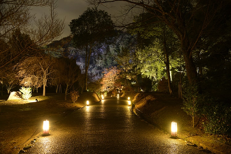 「京都・嵐山花灯路-2018」画像