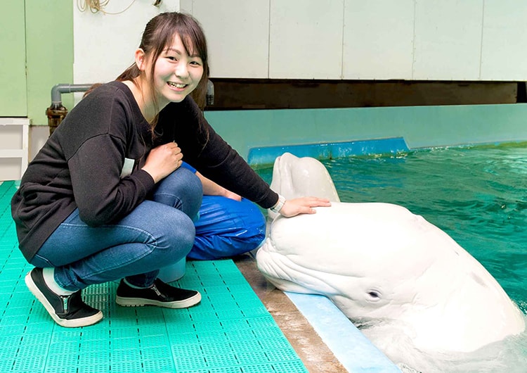 「トロピカルアイランド ナイトステイ」画像