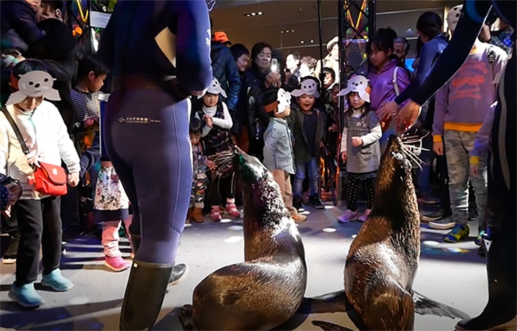 「春遊び！ここはお江戸の水族館」画像