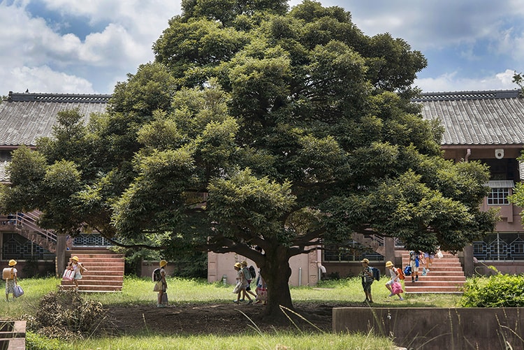 「子どものための建築と空間展」画像