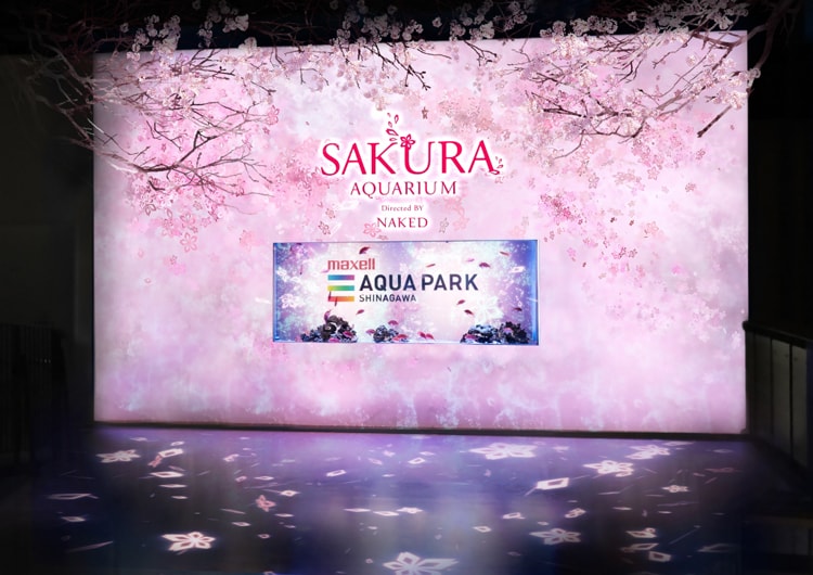 SAKURA AQUARIUM Directed BY NAKED