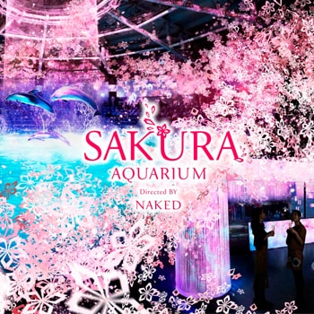 〈マクセル アクアパーク品川〉で「SAKURA AQUARIUM Directed BY NAKED」が開催