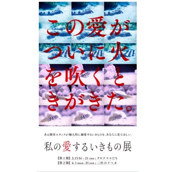 すみだ水族館・京都水族館合同企画！「私の愛するいきもの展」が開催