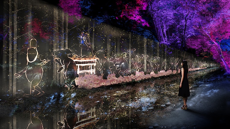 下鴨神社 糺の森の光の祭 Art by teamLab - TOKIO インカラミ