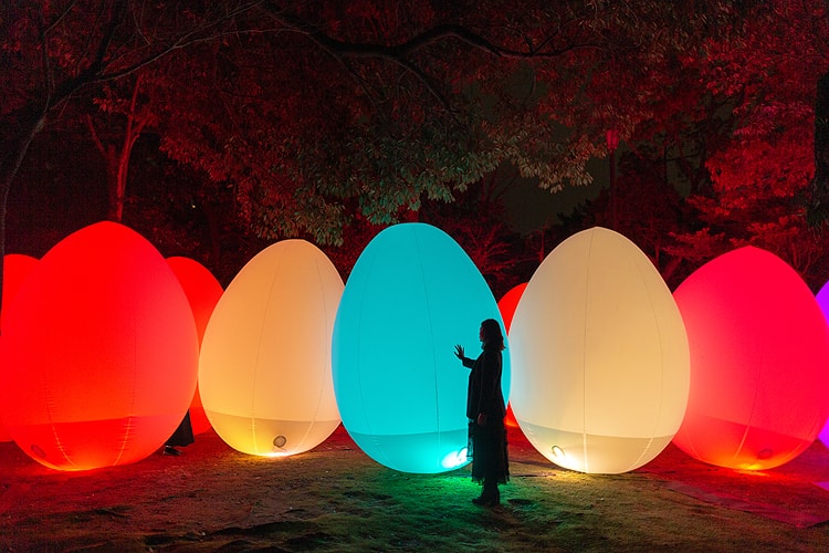 下鴨神社 糺の森の光の祭 Art by teamLab - TOKIO インカラミ