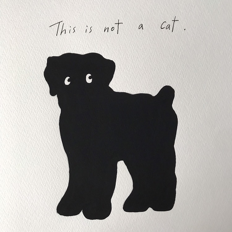 髙島一精 初個展「This is not a cat.」