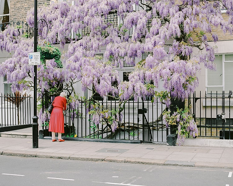 濱田英明写真展「DISTANT DRUMS」