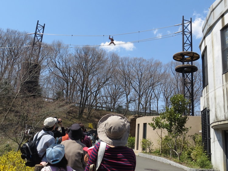 多摩動物公園