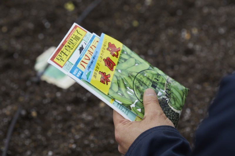 古来種の種で野菜を育てれば、さらに種が出来てまた植えることができる。「これが家庭菜園の醍醐味ですね」
