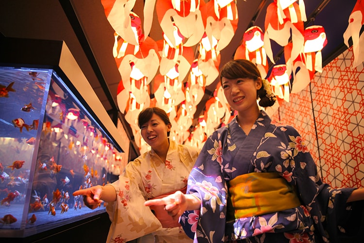 東京 金魚 ワンダーランド 浴衣