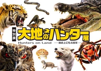 300点以上の標本展示がお目見え！ 科学展覧会の決定版、特別展「大地のハンター展 〜陸の上にも４億年〜」