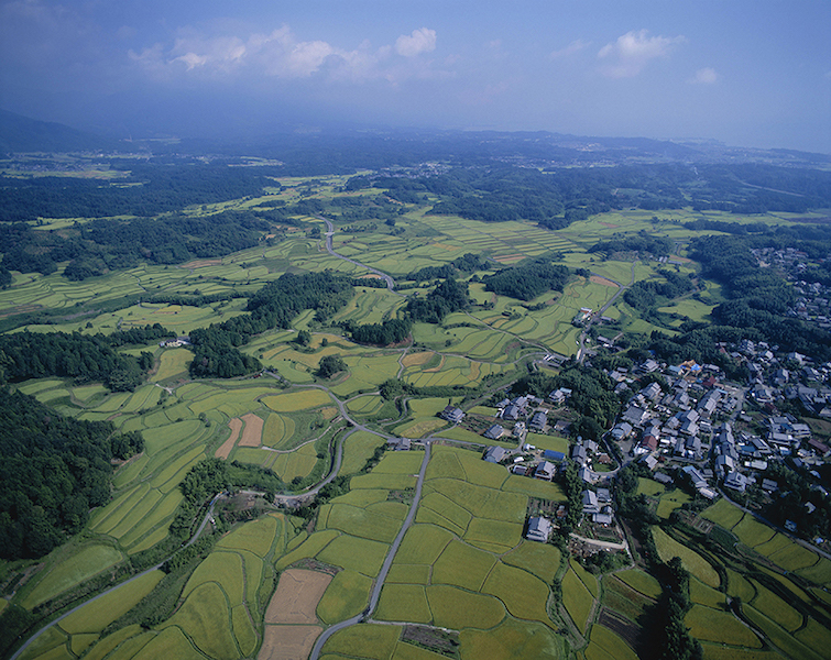 《大津市仰木地区に広がる棚田》 ©Mitsuhiko Imamori
