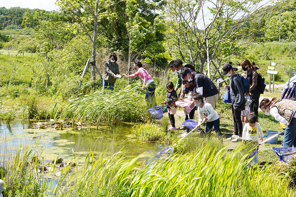 水辺の生き物観察会は当日受付で、土日の14:00～14:30に開催。8組限定となり、参加費は500円（1組1～2名まで)、1,000円（1組3～4名まで）。
